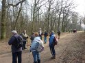 2013-04-04 10-59-39 Bois de Meudon Matin YLe